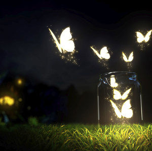 Meet your Posher, Bobbi